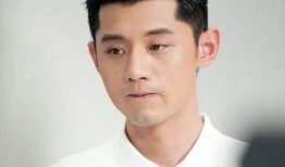 为什么爆料张继科呢视频,背后真相与争议解析